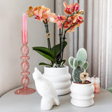 Maison Colibri | Pot à bulles blanc - Ø9cm