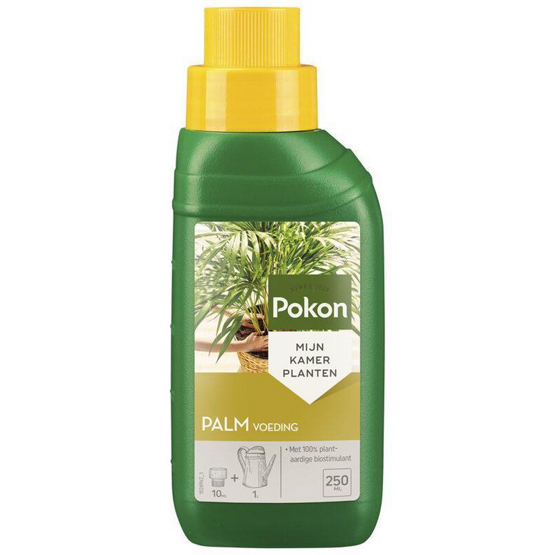 Engrais pour plantes de palmier 250ML - Flacon élégant avec étiquette informative