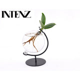 Clusia En Verre Victoria - Ø5cm - ↕10cm