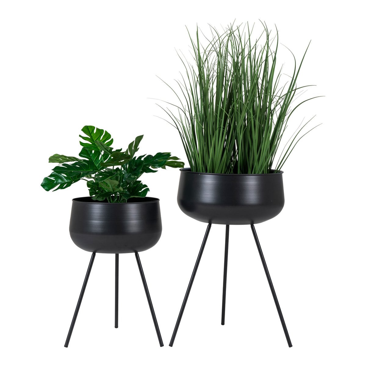 Pots de Fleurs Ardola en acier noir avec plantes