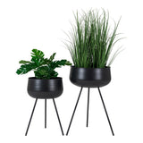Pots de Fleurs Ardola en acier noir avec plantes