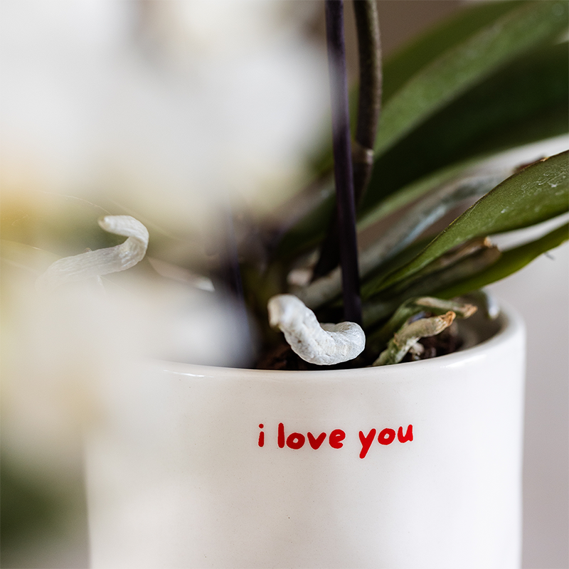 Image de diapositive