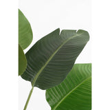 Plante artificielle Vert