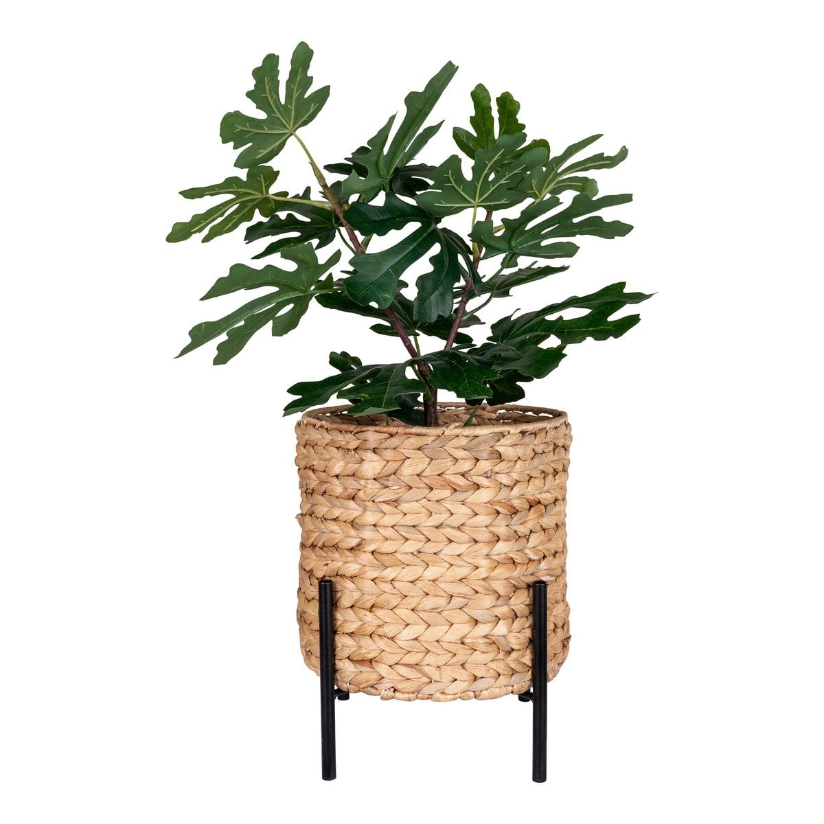 Jardinière Antas en situation dans un salon moderne