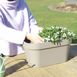 Bac de balcon taupe avec 3 campanules blanches pot Ø12 cm