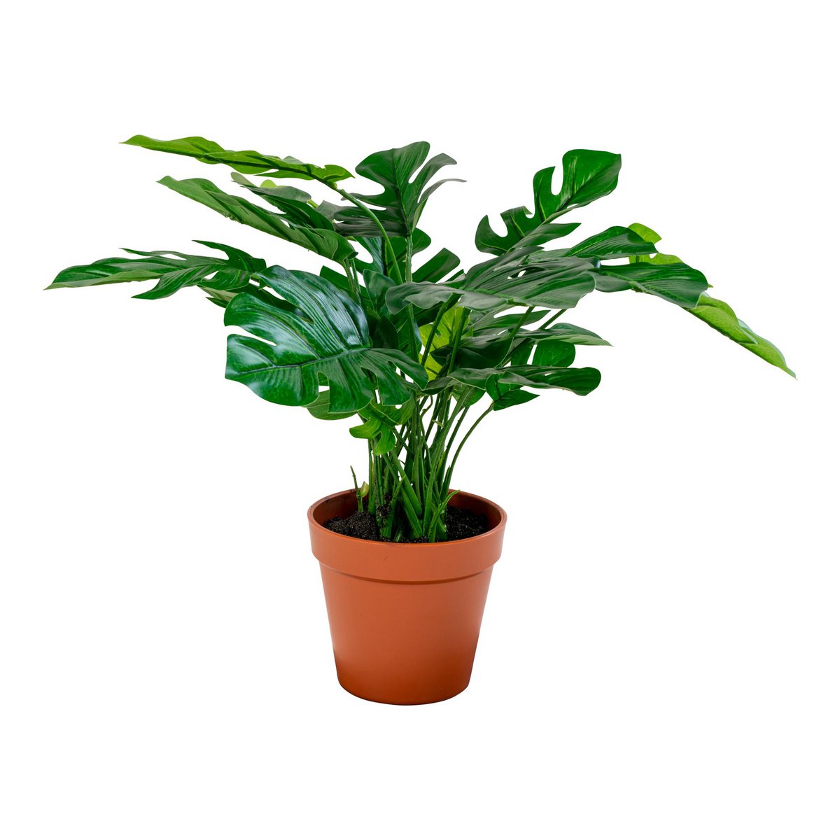 Monstera artificielle avec feuilles vertes luxuriantes