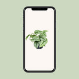 Plante artificielle Scindapsus Piche Trebie 15 cm verte
