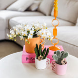 Orchidée phalaenopsis blanche Nazaré en pot Ø9 cm