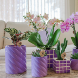 Maison Colibri | Pot décoratif de bonbons | Haut - Lilas - Ø6cm