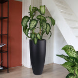 Cache-pot en polyester noir