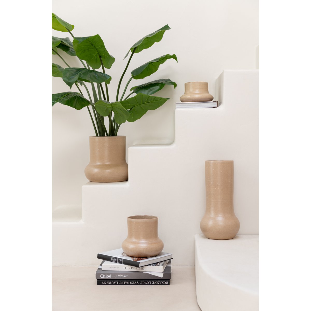 Détail du feuillage de la plante Pothos J-Line, vibrant et réaliste