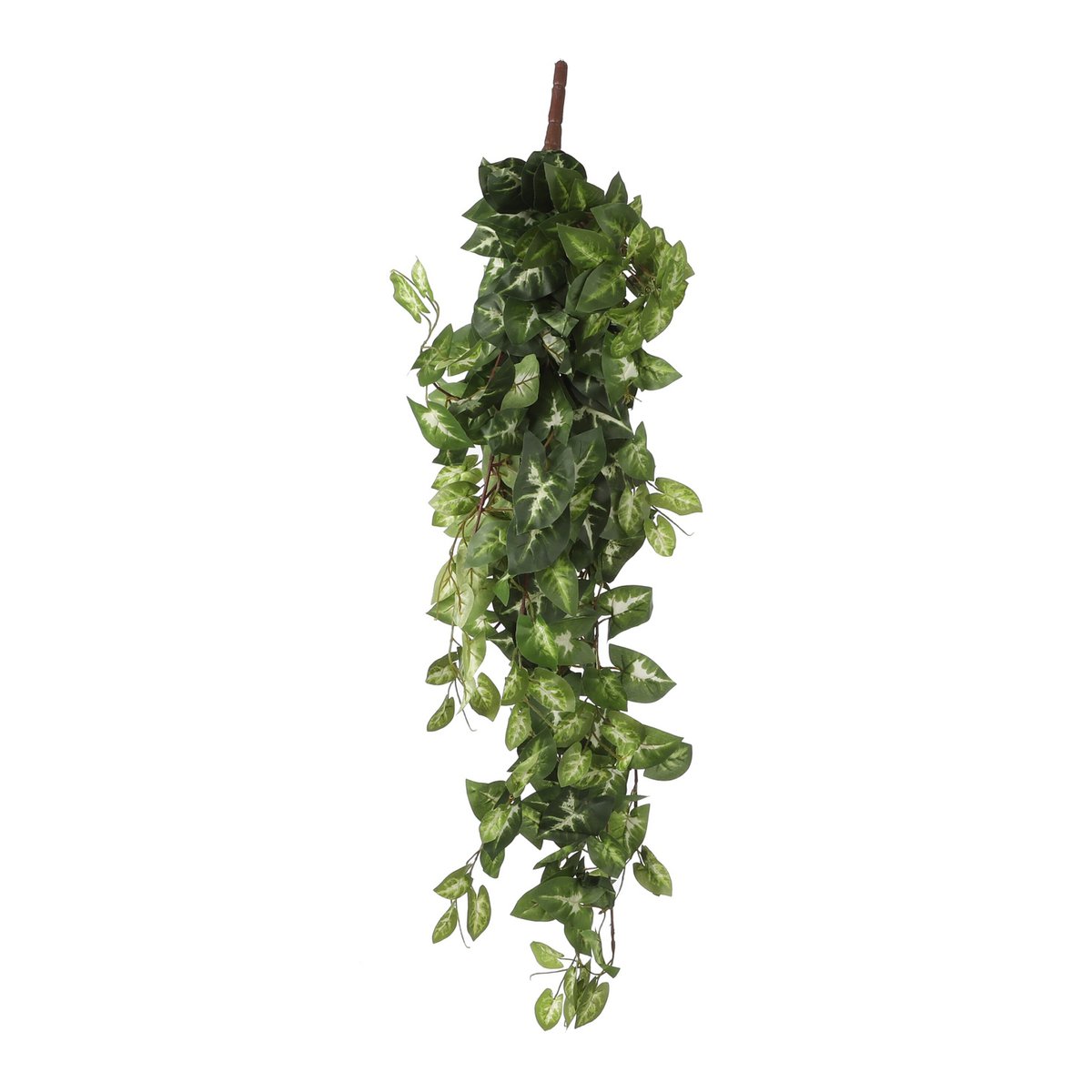 Plante artificielle suspendue Fittonia Vert - Feuilles en cœur détaillées