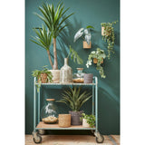 Coffret Plantenmand Atlantic Crème