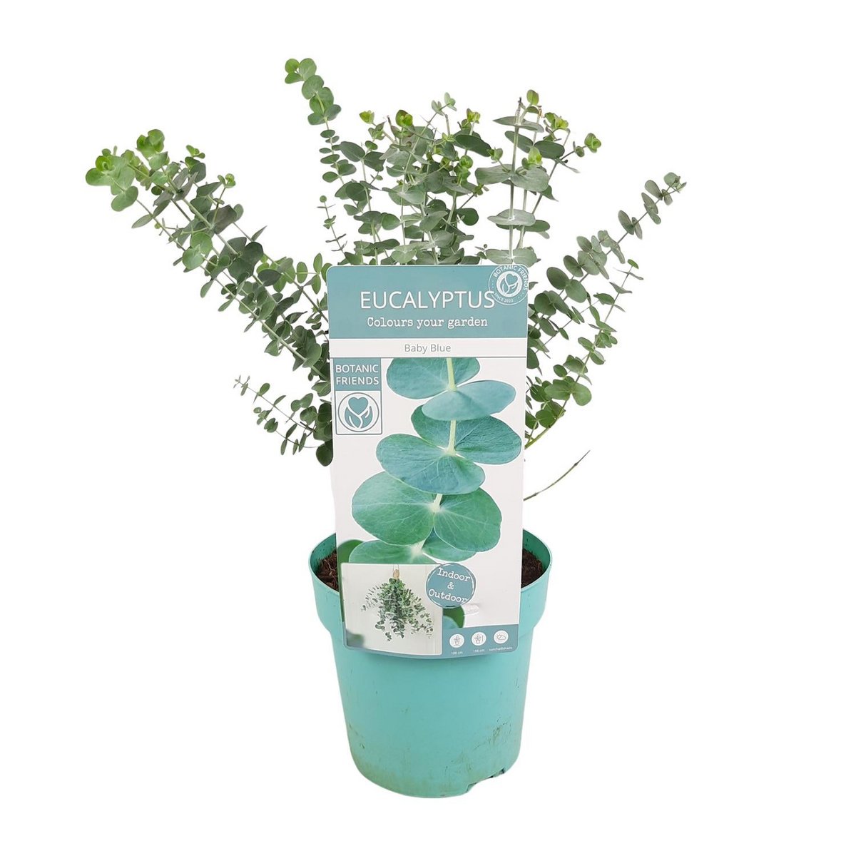 Image de diapositive