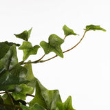 Plante artificielle suspendue Lierre Vert