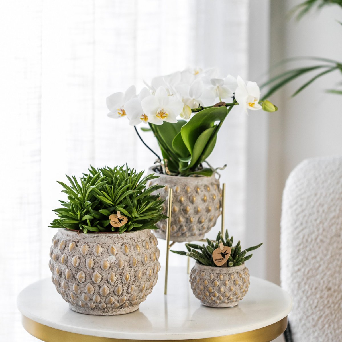 Maison Colibri | Support à plantes - Support à plantes en métal doré Ø12cm