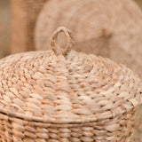 Panier à Linge avec Couvercle GARUT en Jacinthe d'Eau (3 tailles)