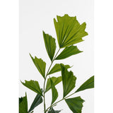 Plante artificielle queue de poisson verte