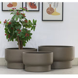 Plant de plante - Nyborg taupe
