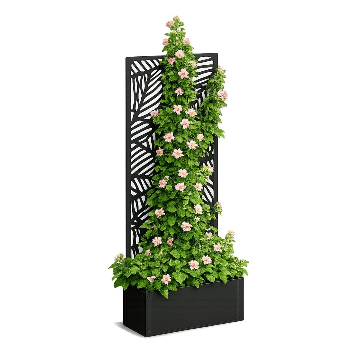 Support à Plantes Sapri Black - Ambiance jardin moderne