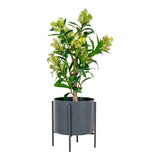 Arbre Skimmia artificiel avec feuilles vertes luxuriantes