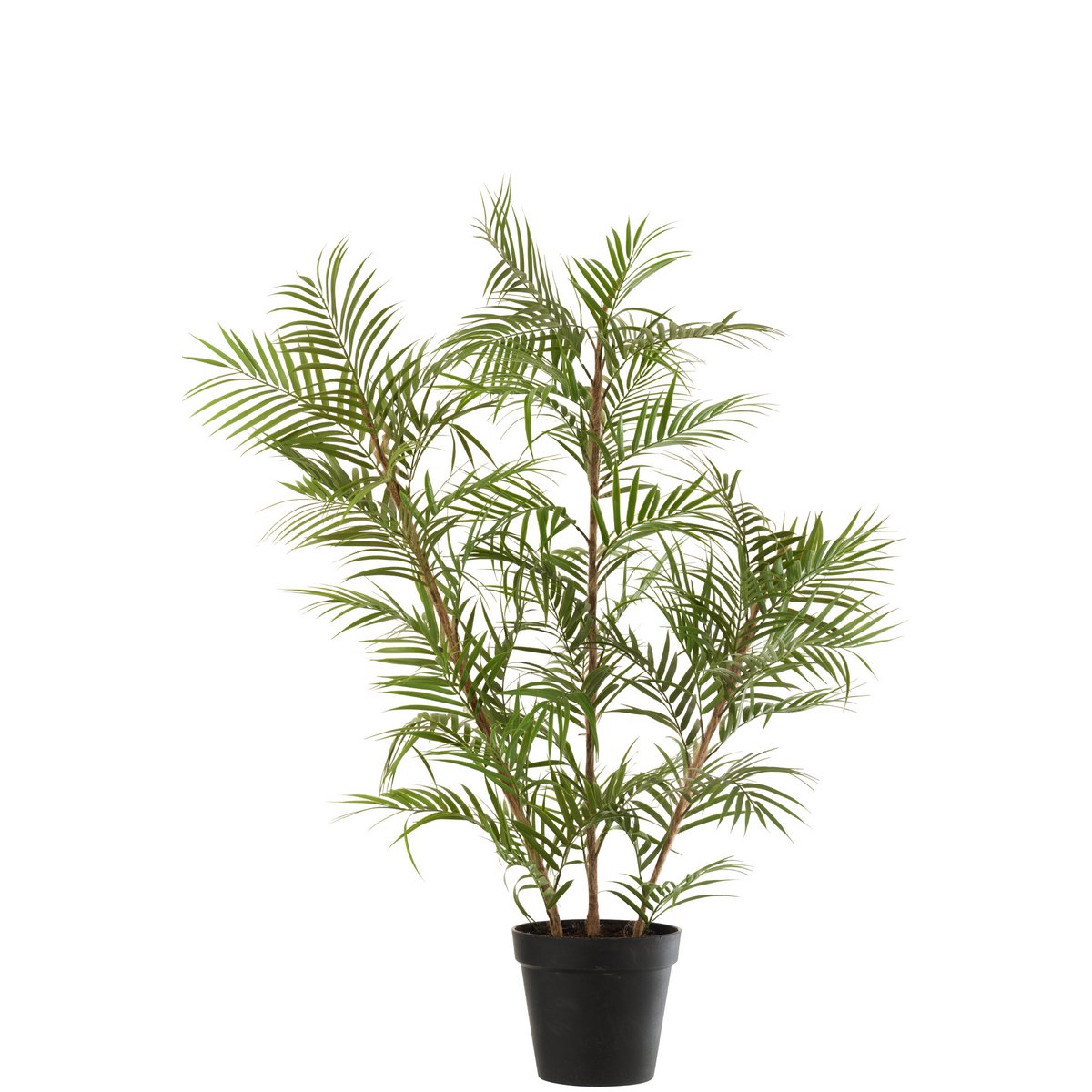 Palmier J-Line en pot, ambiance intérieure moderne