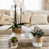 Lot de 3 cache-pots en sable