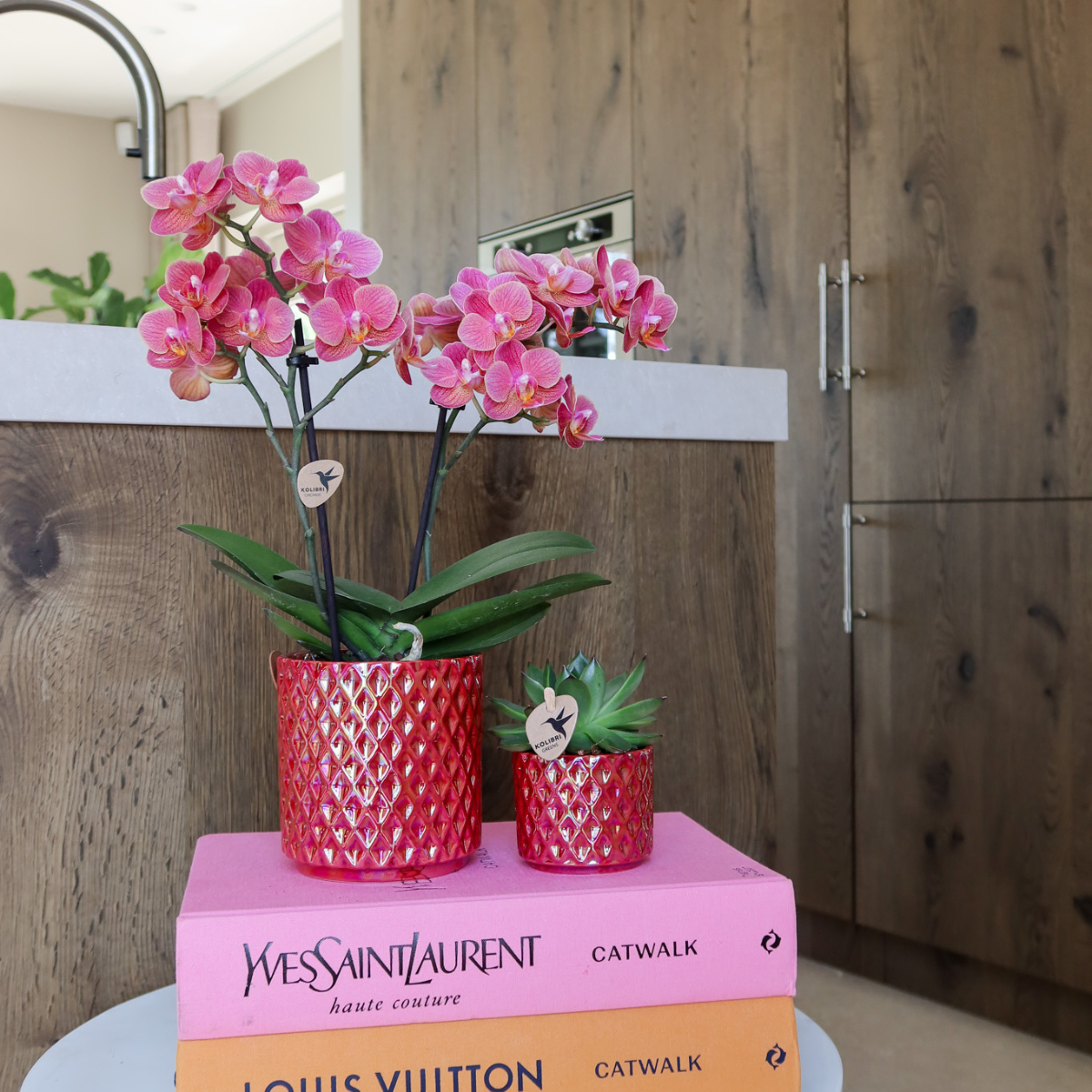 Orchidée Phalaenopsis rouge avec pot Diamond Pearl