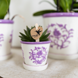 Pot Kolibri Home I Malaga - Lilas - Ø6cm