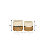 Ensemble Plantenmand Damian Wit