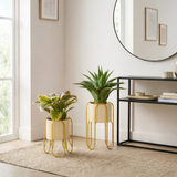Pot de fleurs à l'intérieur du Danube Jaune