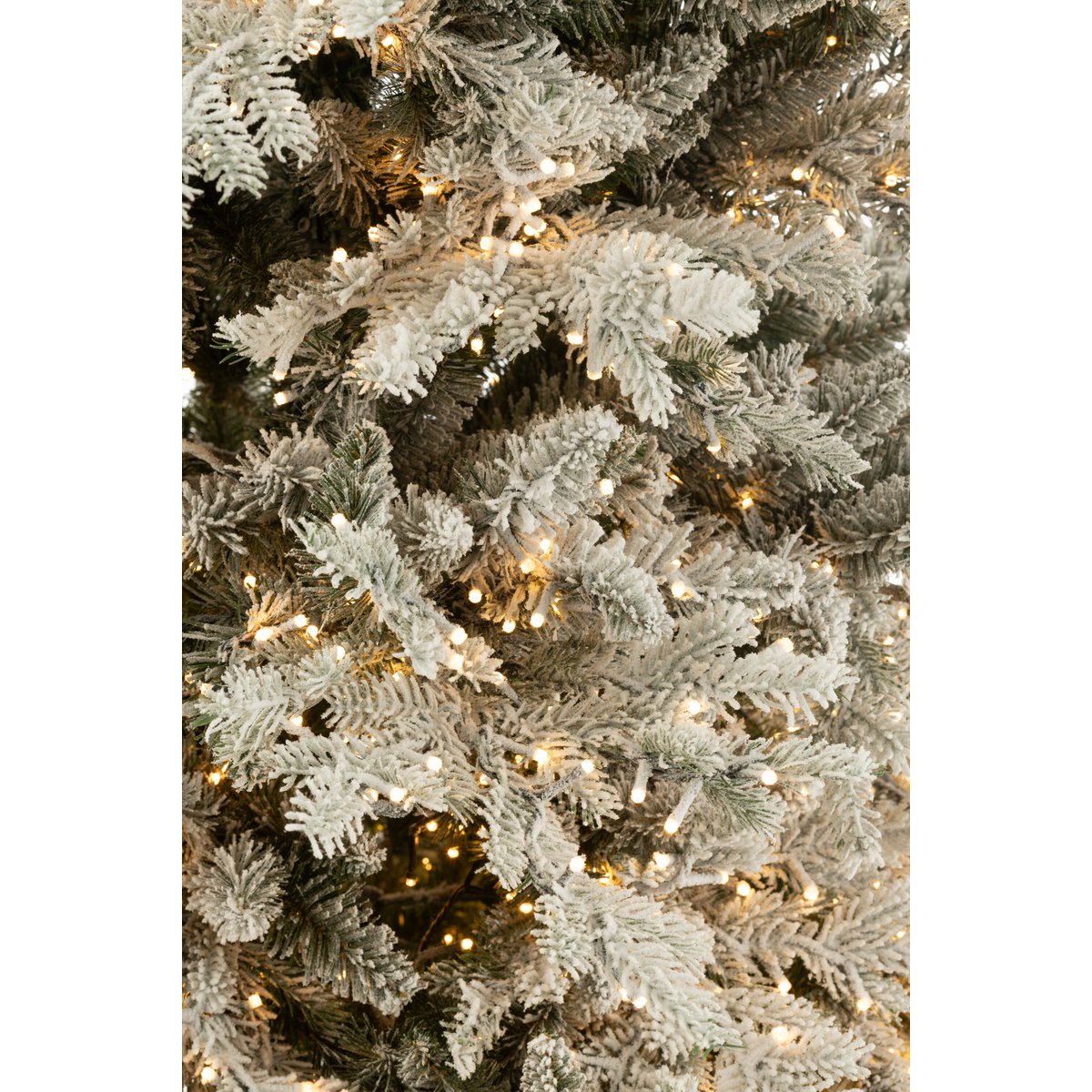 Ambiance festive autour du sapin de Noël J-Line