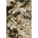 Ambiance festive autour du sapin de Noël J-Line