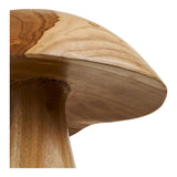 Vue rapprochée des champignons déco Kodi, texture boisée
