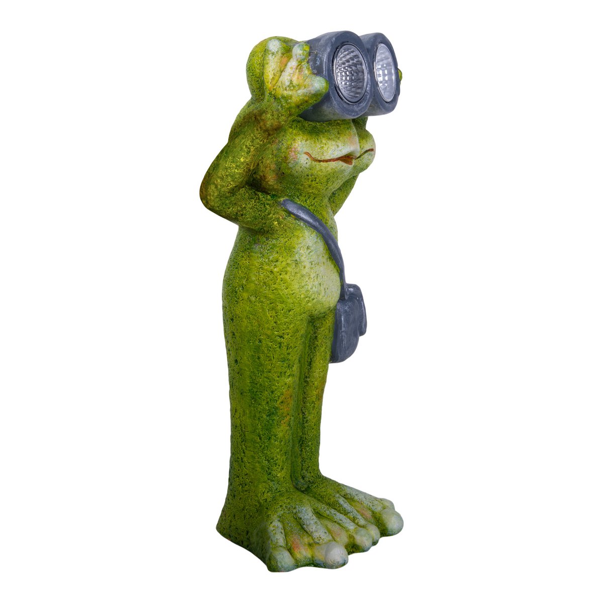 Image de diapositive