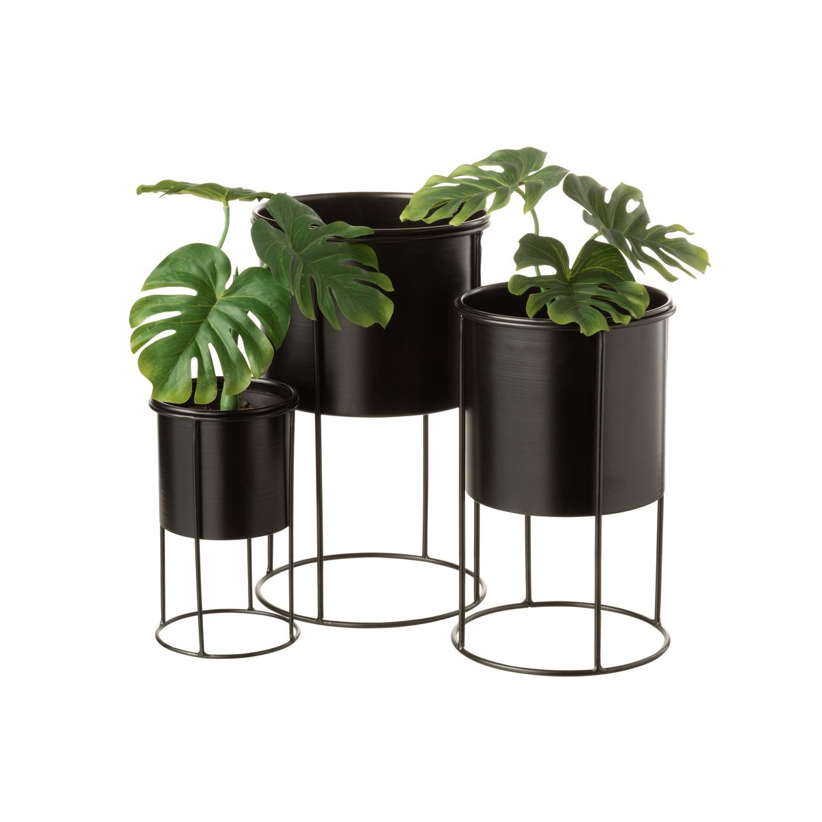 Pot à fleurs J-Line en métal noir avec plante, ambiance salon