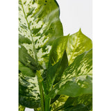 Plante artificielle Dieffenbachia Vert