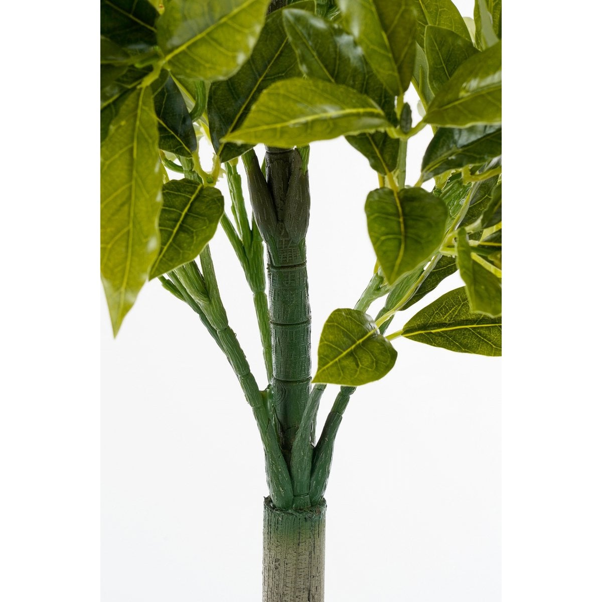 Plante laurier artificiel sur une terrasse moderne