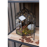 Terrarium J-Line, décoré avec des plantes, ambiance contemporaine