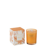 Vue rapprochée de la bougie J-Line Mandarin Moments, couleur orange et cire de qualité