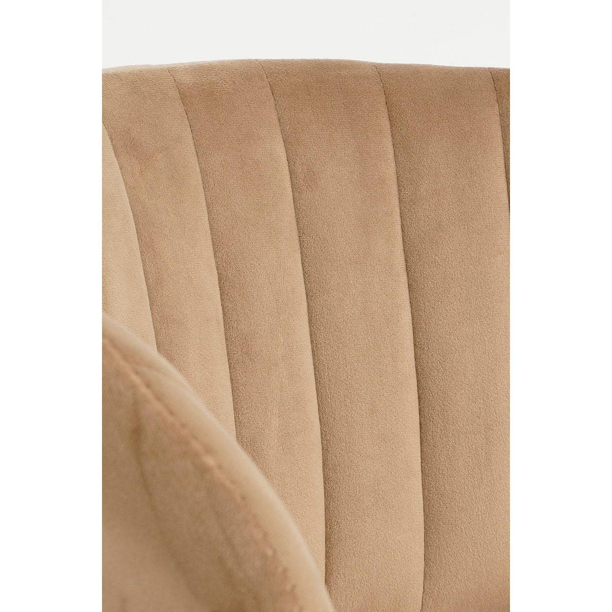 Image de diapositive