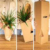4x Garden Herbes Mélange - 18 cm - Ø14