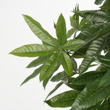 Plante artificielle Pachira Vert