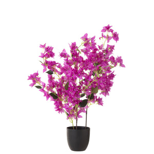 Pot de fleurs