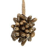 Le gland en coquillage marron cauri