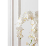 Plante Orchidée J-Line sur un fond neutre, mettant en valeur sa couleur blanche