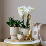 Lot de pots en travertin beige 6, 9 et 12 cm
