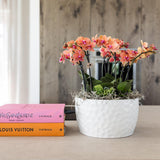 Bol à miel avec bouquet d'orchidées orange et plantes vertes
