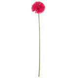 Vue d'ensemble de la plante J-Line sur une table décorative