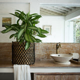Panier de rangement PURA | Panier de plantes | Panier à linge (noir) en fibre de banane (3 tailles)